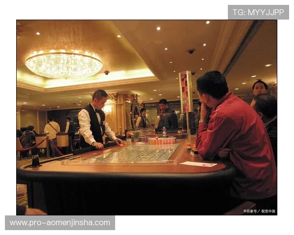 新濠锋娱乐场所怎么样为玩家提供真实的娱乐体验与优质的客户服务